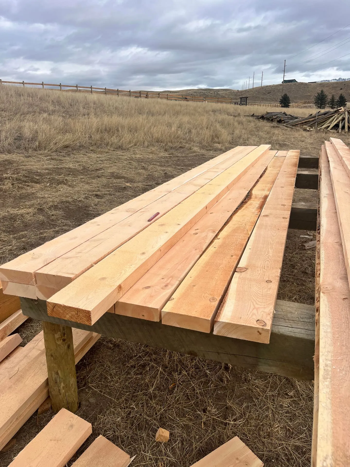 Sawmill cutting a Montana log into lumber
